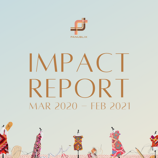 Panublix Impact Report (Mar 2020-Feb 2021)