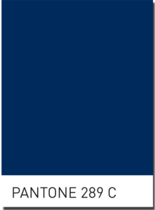 Pantone 289 for Navy? | Pantone, Blue interior design, Navy color palette