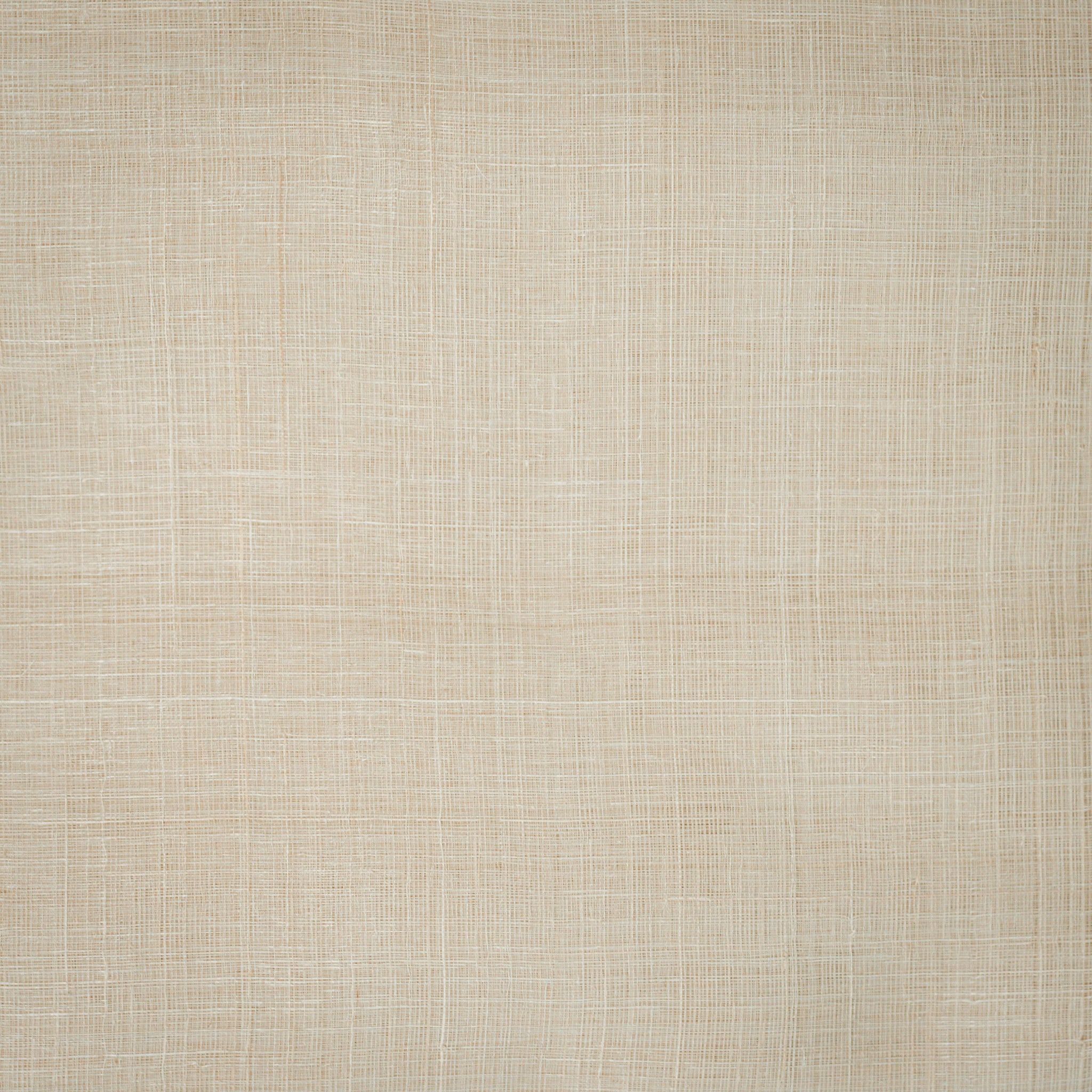 Philippine Piña Fabric (Pre-order)